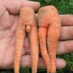 DP BBM Lucu Buah Aneh Dan Unik Gokil Bikin Ngakak