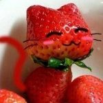 DP BBM Lucu Buah Aneh Di Jepang Gokil Bikin Ngakak