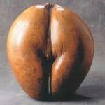 DP BBM Lucu Buah Aneh Unik Dan Langka Gokil Bikin Ngakak