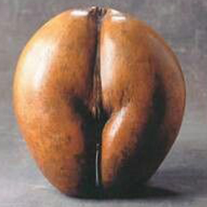 DP BBM Lucu Buah Aneh Unik Dan Langka Gokil Bikin Ngakak