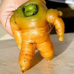 DP BBM Lucu Buah Apel Aneh Gokil Bikin Ngakak