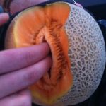 DP BBM Lucu Buah Cabe Aneh Gokil Bikin Ngakak
